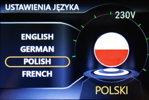 wybór języka.jpg